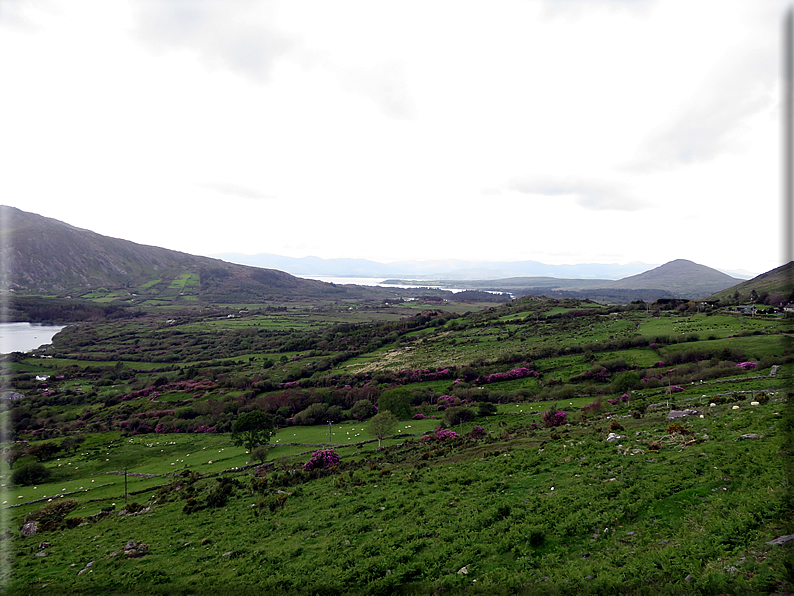 foto Parco di Killarney